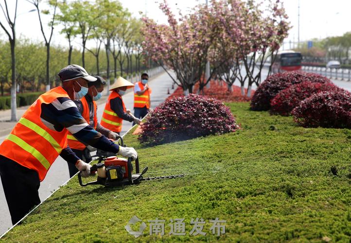 青州市新博物馆绿化工程日常